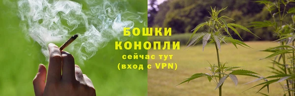 марихуана Белокуриха