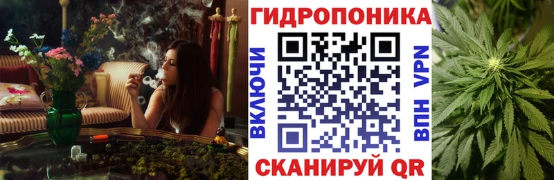 blacksprut ссылка  Меленки  Бошки Шишки план 